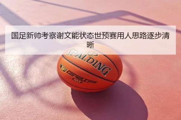 国足新帅考察谢文能状态世预赛用人思路逐步清晰