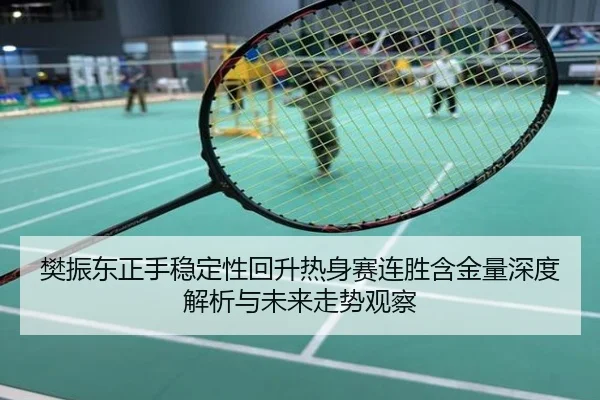 樊振东正手稳定性回升热身赛连胜含金量深度解析与未来走势观察