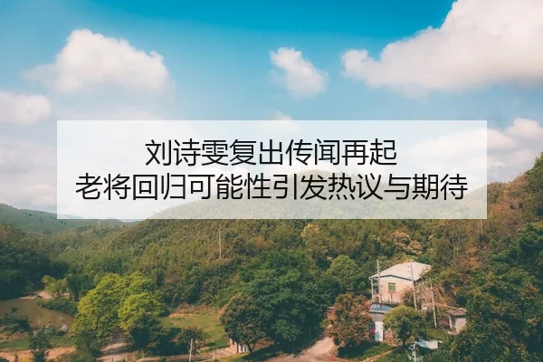 刘诗雯复出传闻再起 老将回归可能性引发热议与期待