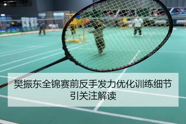 樊振东全锦赛前反手发力优化训练细节引关注解读